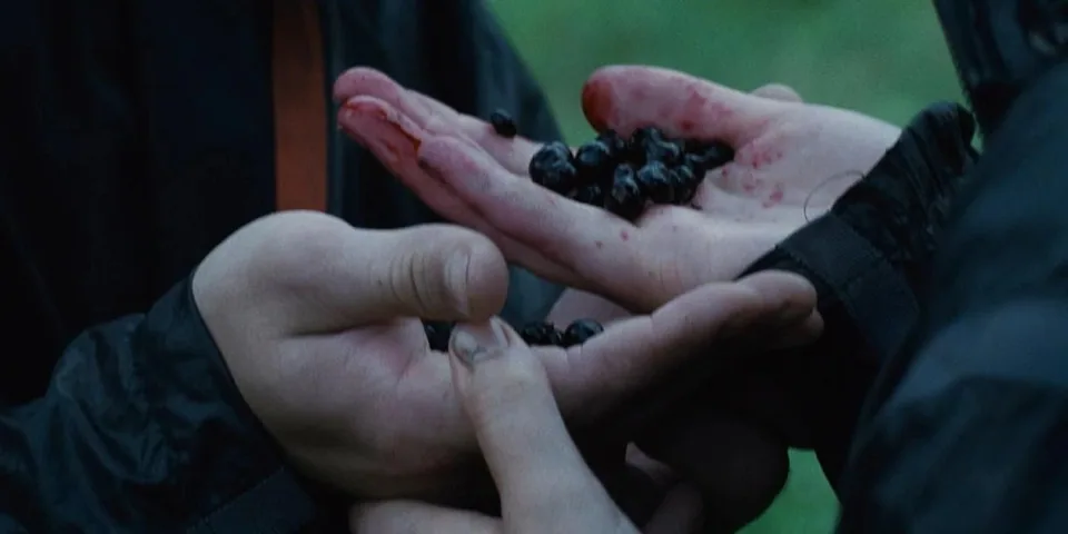 Still from The Hunger Games illustrating The Nightlock Berries