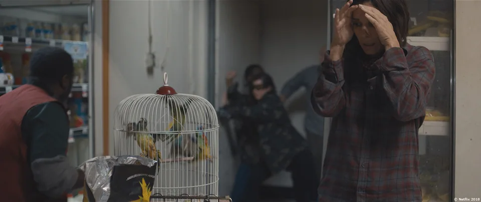 Still from Bird Box illustrating The Bird Box Is a Tamperable Tripwire