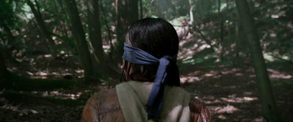 Still from Bird Box illustrating “Tom” Says to Remove the Blindfold