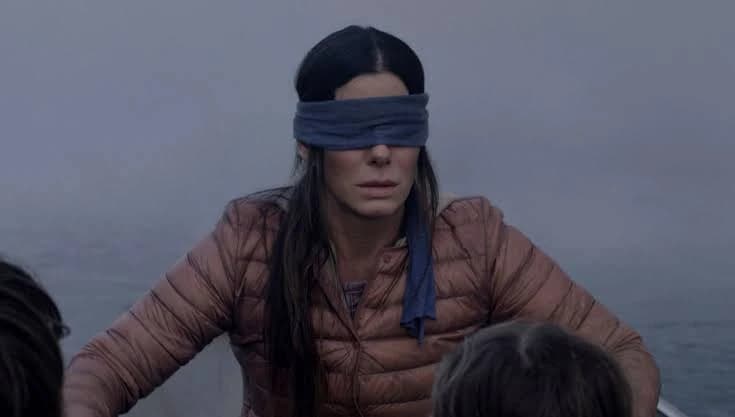 Poster for Bird Box